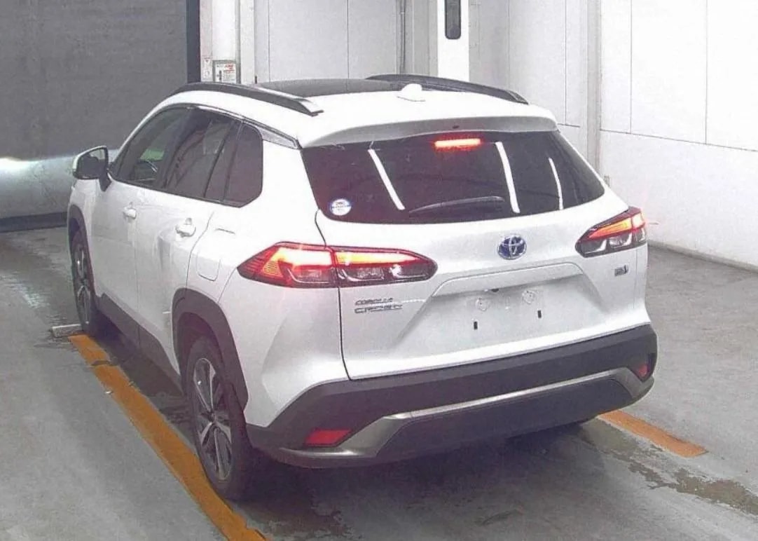 Rear
